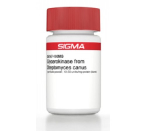Глицерокиназа из порошка Escherichia colilyophilized, 50-100 мкг / мг белка Sigma G4509 Глицерокиназа из порошка Escherichia colilyophilized, 50-100 мкг / мг белка Sigma G4509